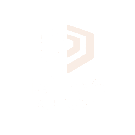 leir256studios Logo